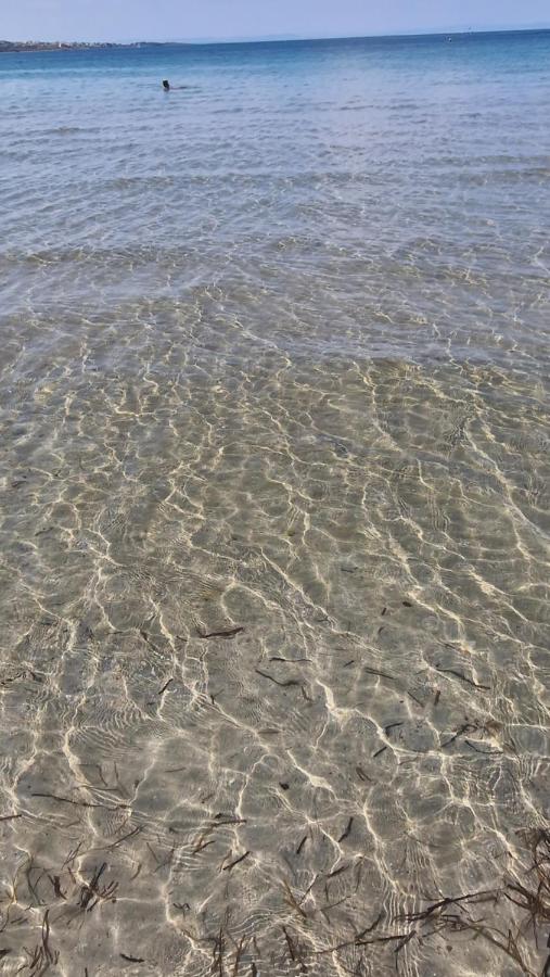 Eve Santa Marina Studios - Sea, Pools, Relax Sosopol Exterior foto